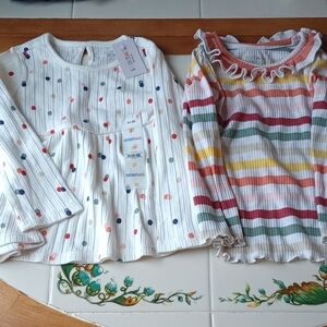 Garanimals Girls ~ 2 Long Sleeve Shirts